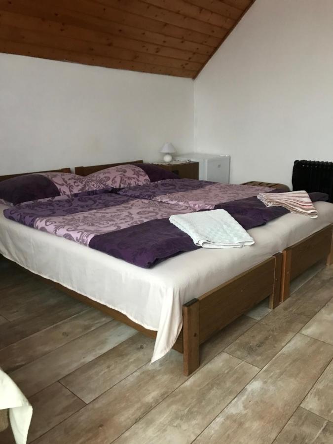 Hotel Ilona Panzio Balatonlelle Zewnętrze zdjęcie